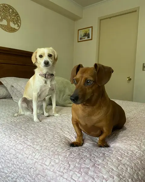 Maya y Olaf juntos